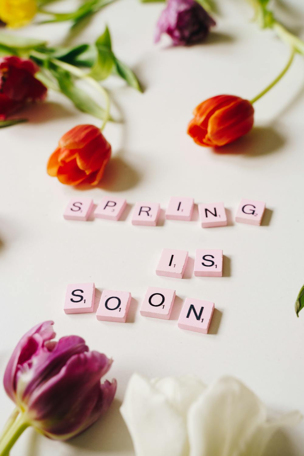 Spring is Soon Text · Free Stock Photo