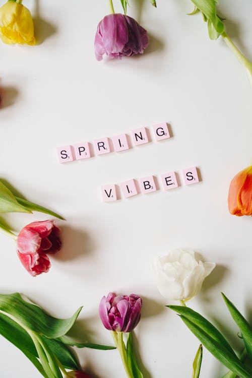 Spring Vibes Text