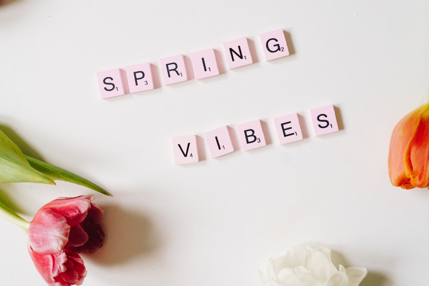 Spring Vipes Spring Vibes Photos, Download The BEST Free Spring Vibes Stock Photos ...