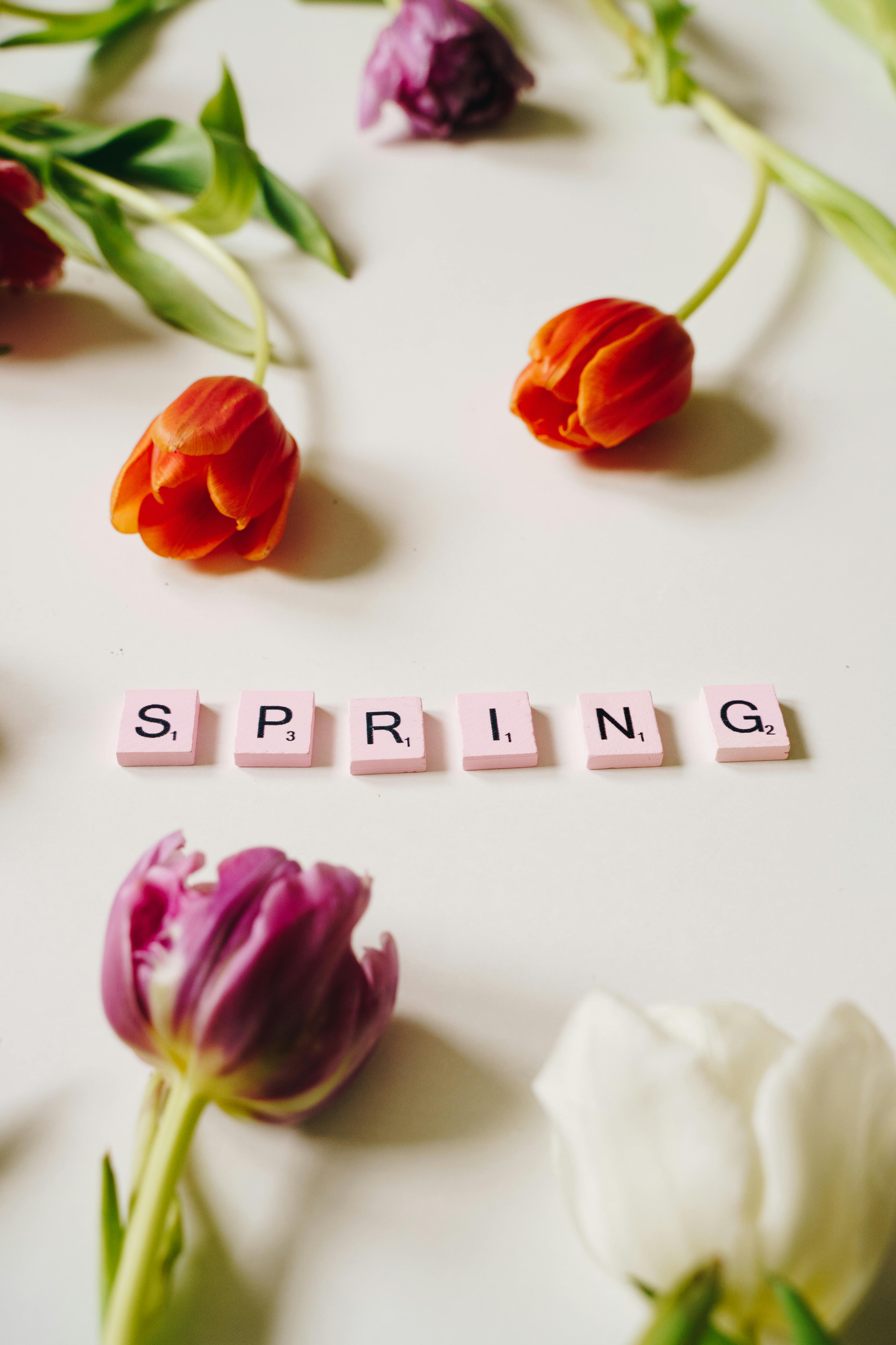 letter tiles near flowers