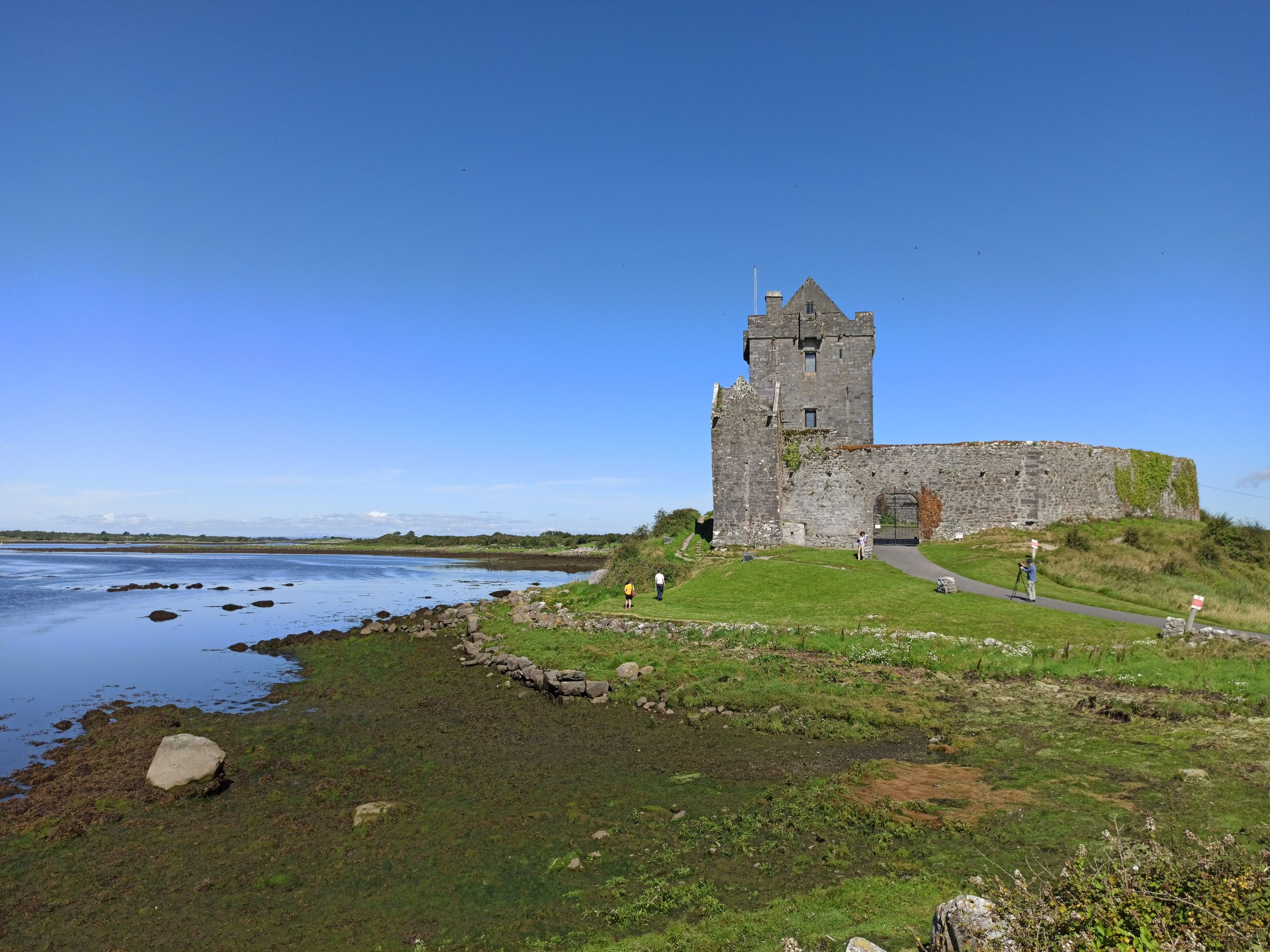 View of medieval Dunguaire Castle by Galway Bay, Ireland under a clear blue sky