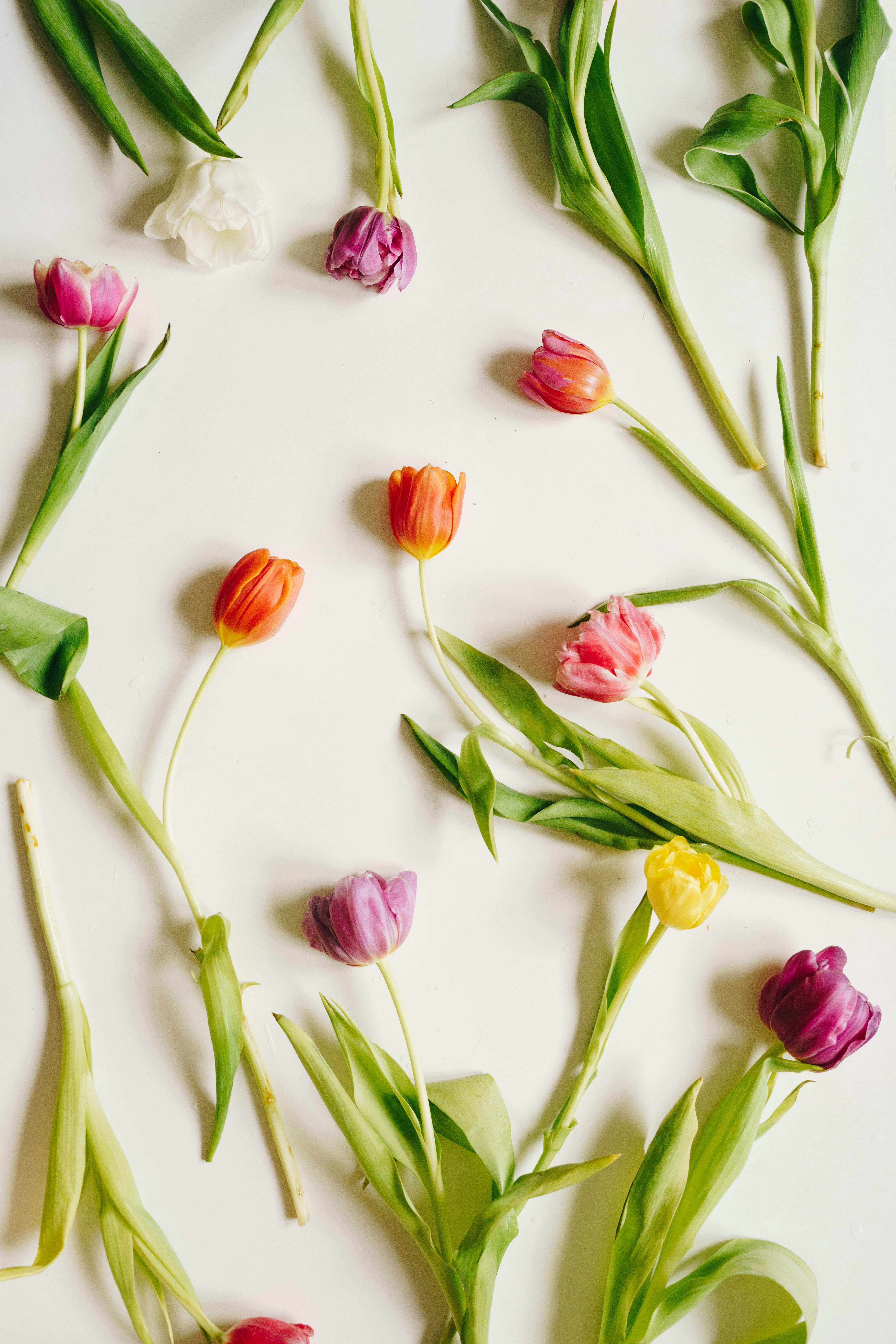 Aufstellungen Teilnehmer Darmstadt 98 Gegen Fortuna Düsseldorf – Wer Gewinnt? 3 Top 5 Spieler im Fokus: Aufstellungen und Teilnehmer bei Darmstadt 98 gegen Fortuna Düsseldorf