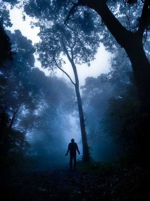 Eerie silhouette of a person standing in a misty, foggy forest in Munnar, India.