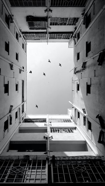 Monochrome view of building interiors with birds flying above, creating a striking architectural perspective.