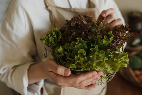Free Close-Up Shot of a Person Holding Leafy Vegetables Stock Photo