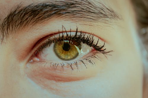 Free Person's Eye With Black Mascara Stock Photo