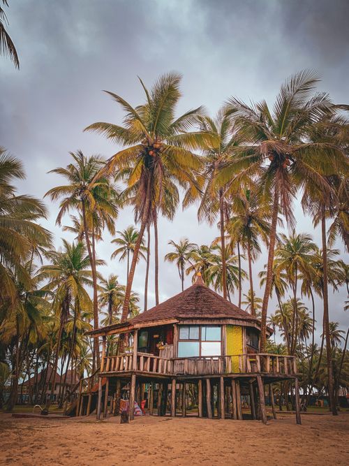 Free Rustic hut surrounded by towering coconut trees on a sandy tropical paradise, perfect for a serene escape. Stock Photo