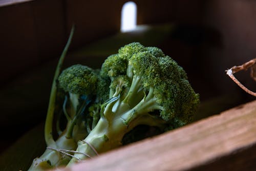 A Pair of Fresh Green Broccoli Tied Together