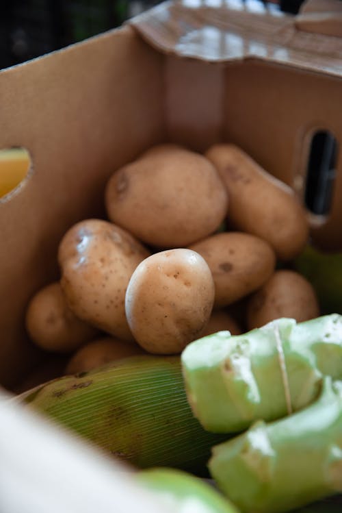 Free Bunch of Potatoes in a Box Stock Photo