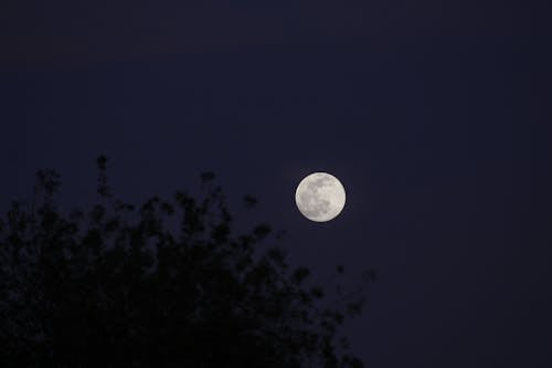 Free A Full Moon in the Sky Stock Photo