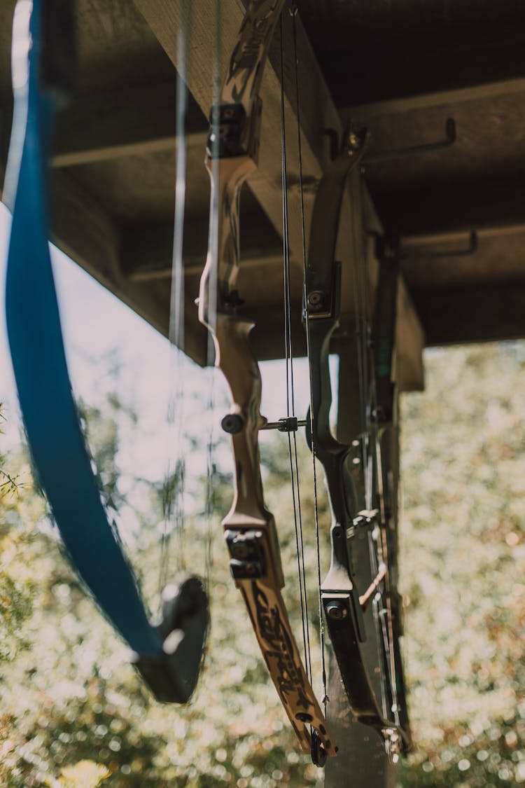 Compound Bows Hanging From Ceiling