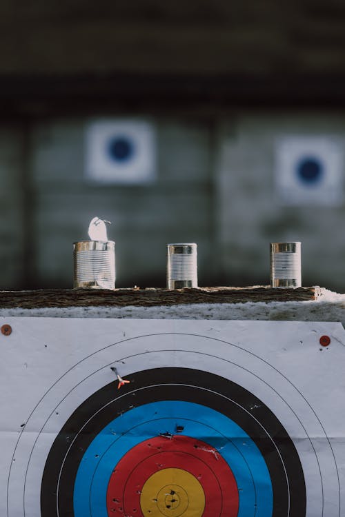 Photo of Archery Targets In Cans And Board