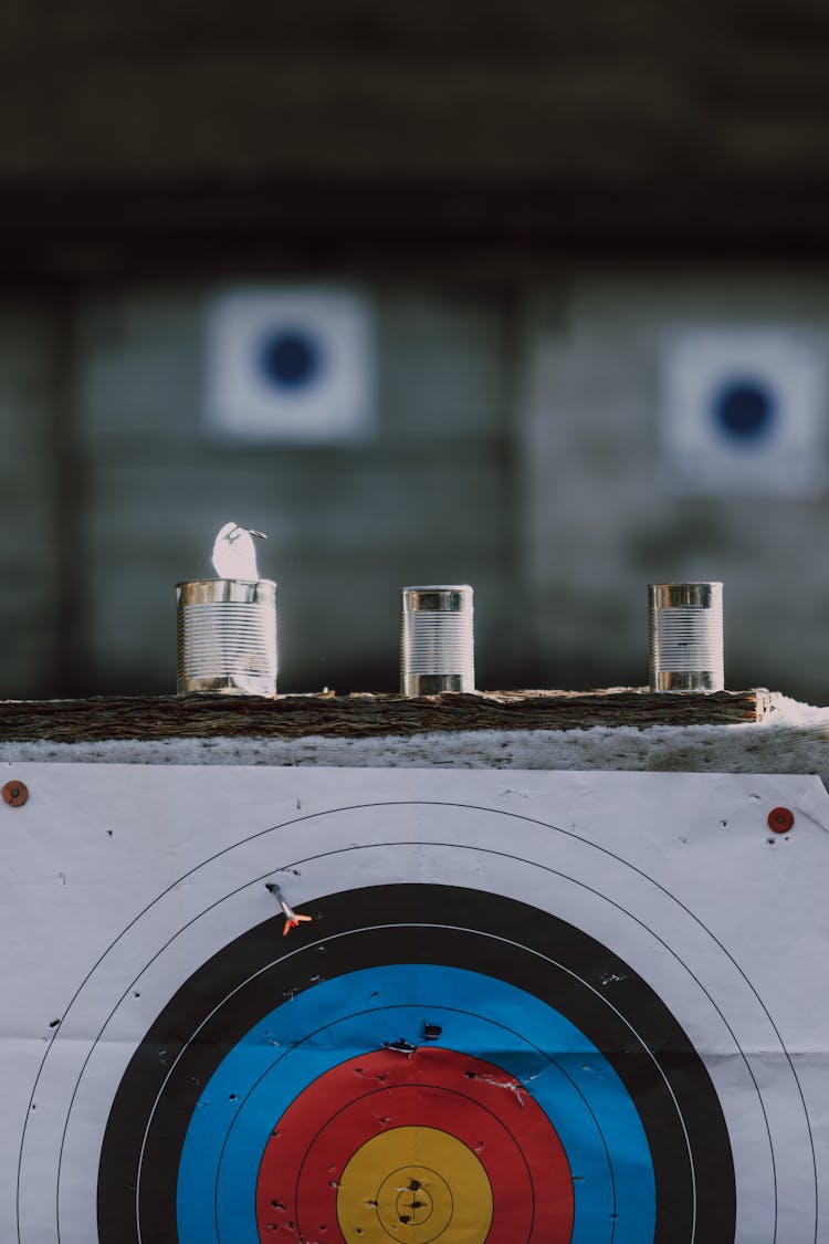 Photo Of Archery Targets In Cans And Board