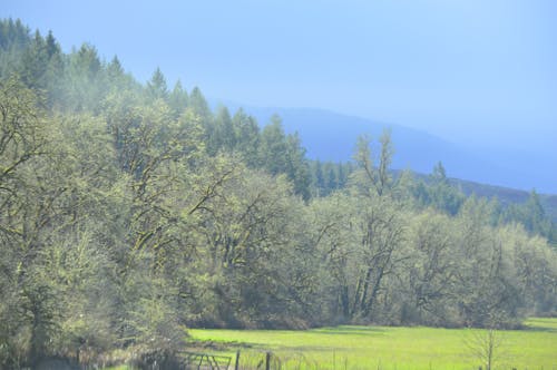 Free stock photo of country, daytime, landscape