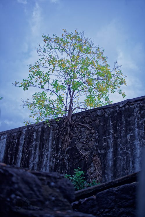 Free stock photo of concrete, mothernature, sky