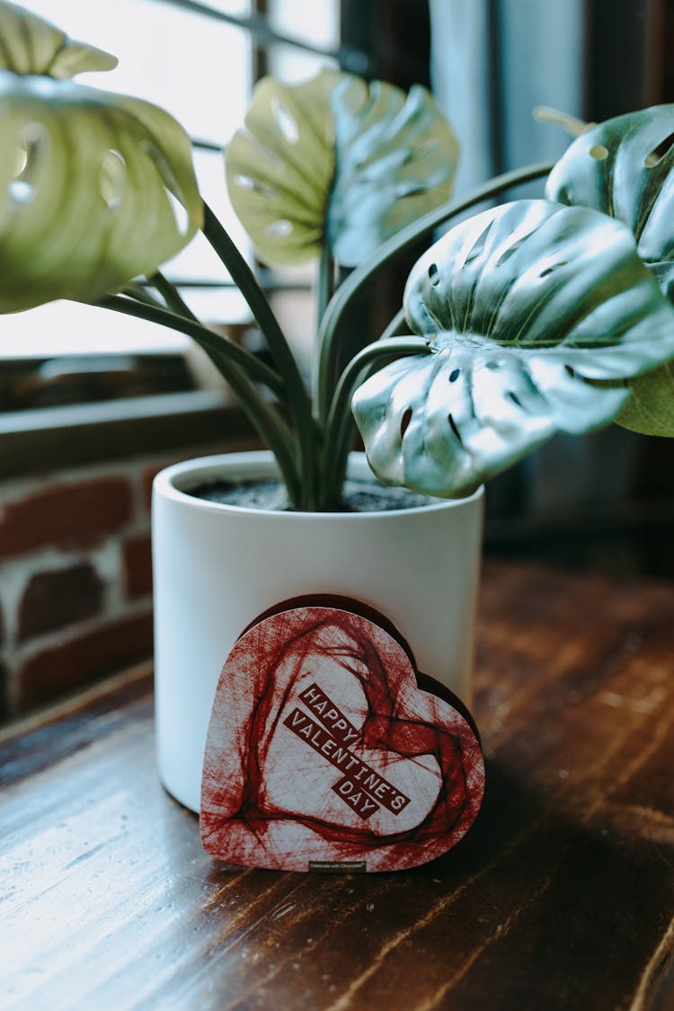 A Valentine's Gift And Plant On The Wooden Table