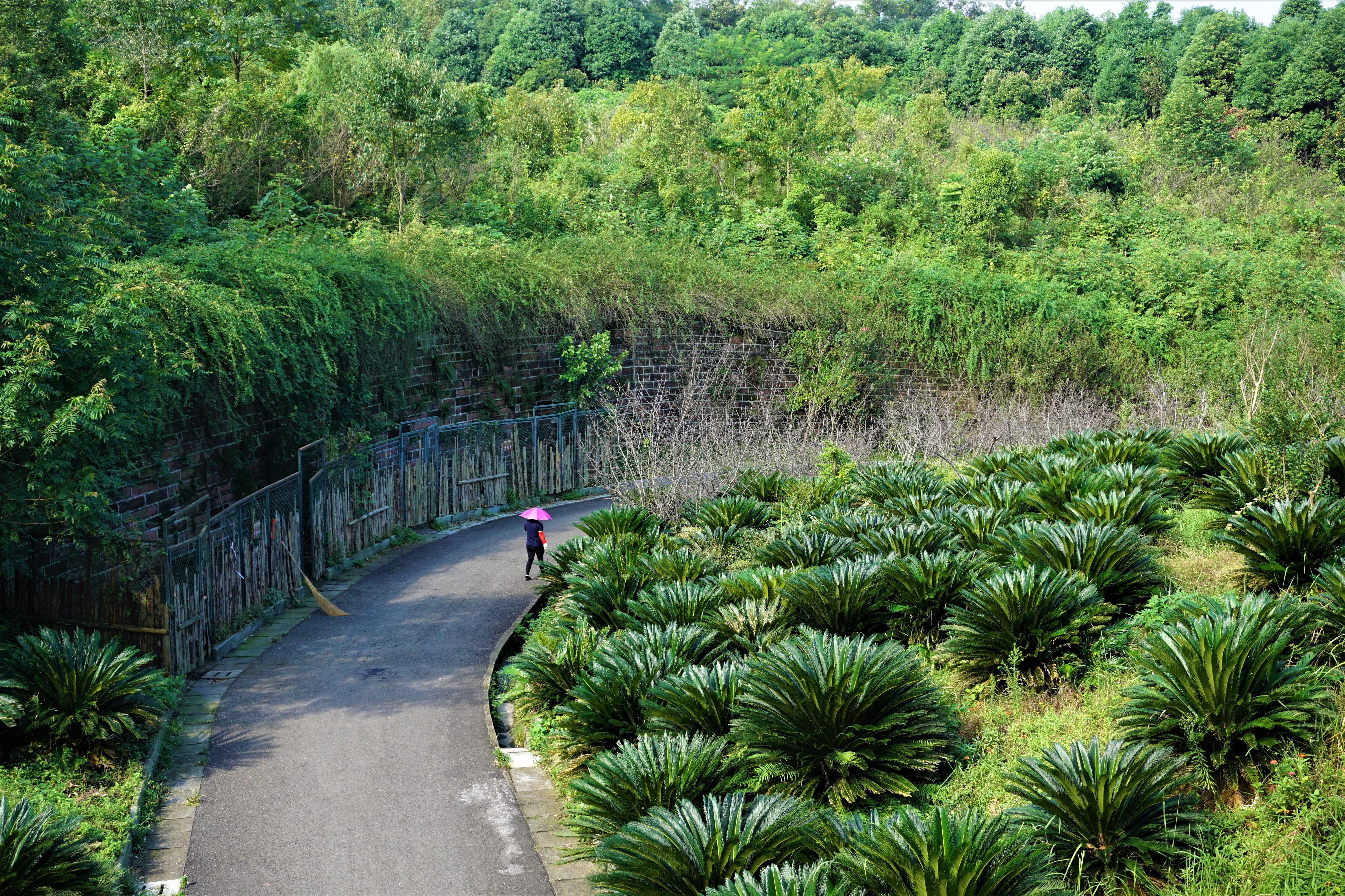 Chengdu Wide and Narrow Alleys Guide: History, Food & How to Navigate Beyond the Tourist Flow