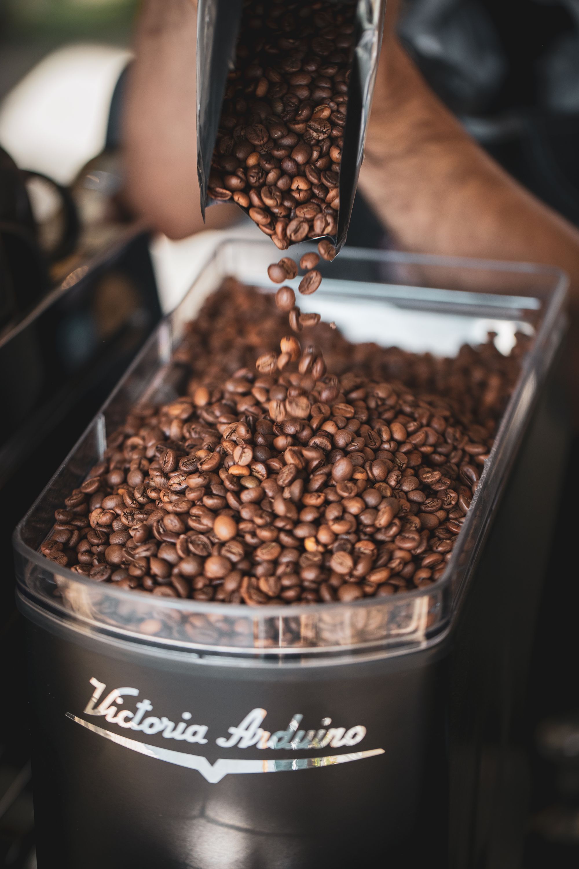 Roasted coffee beans being poured into a container