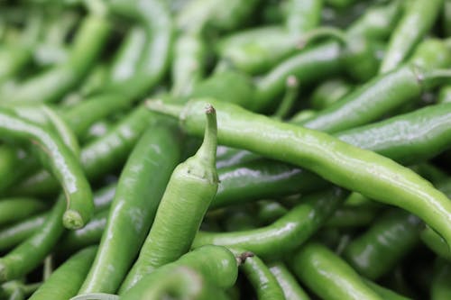 Free Green Chili Peppers in Close-up Shot Stock Photo