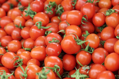 Free Red Tomatoes in Close Up Photography Stock Photo