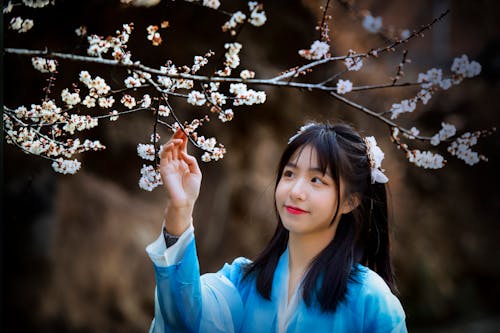 Ingyenes stockfotó ázsiai nő, cseresznyevirágok, érint témában
