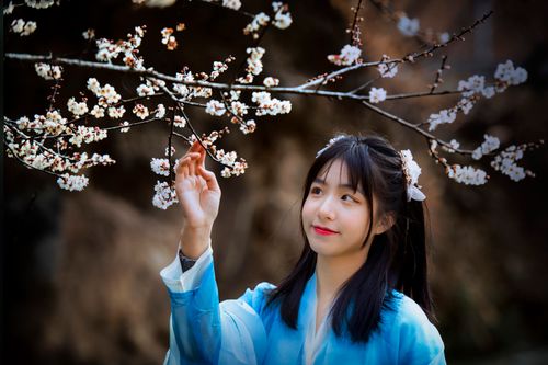 Free Asian woman gently touches cherry blossoms, smiling under a spring tree. Stock Photo