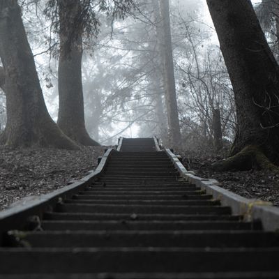 Wooden steps climbing through a misty wood — photo by Jonas Thomann on Pexels