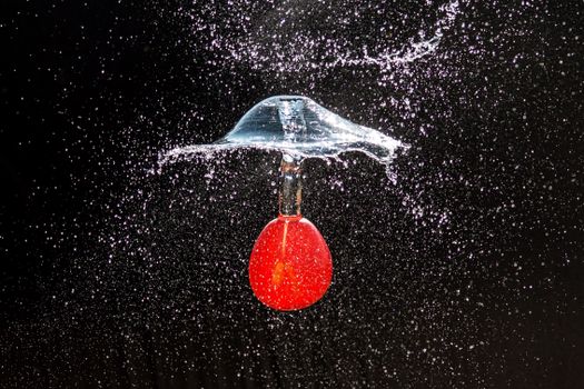 Close-up of a water balloon bursting mid-air, captured with splashing droplets against a black background.