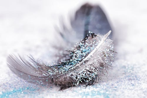 Macro Shot of a Feather with Sequins