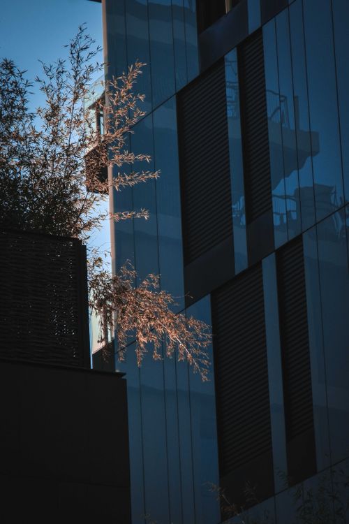 Free From below exterior detail of modern multistory building with shuttered windows against cloudless blue sky Stock Photo