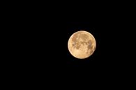 From below of big bright yellow full moon shining in dark sky at night
