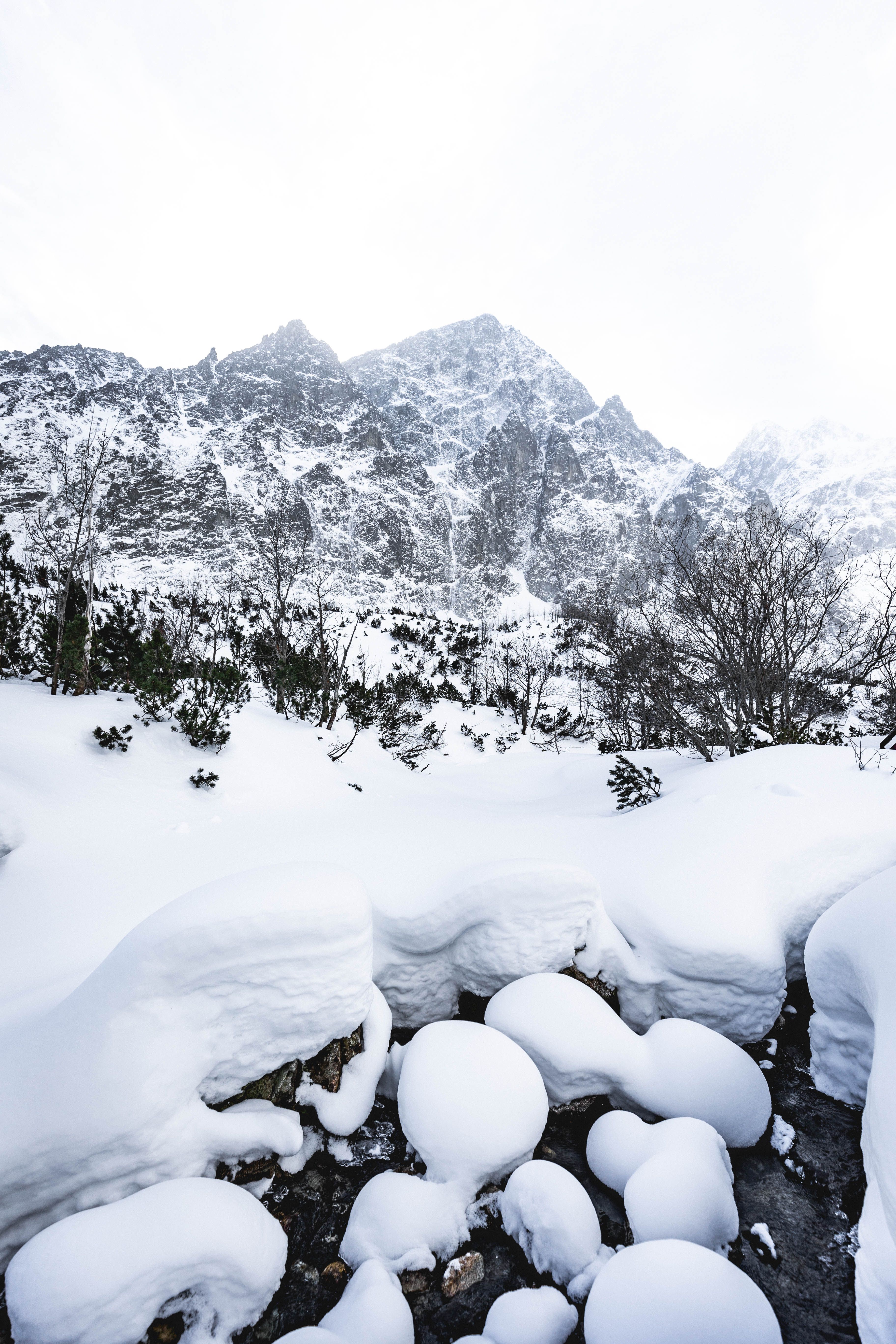 A Mountain Valley Covered with Thick Snow · Free Stock Photo