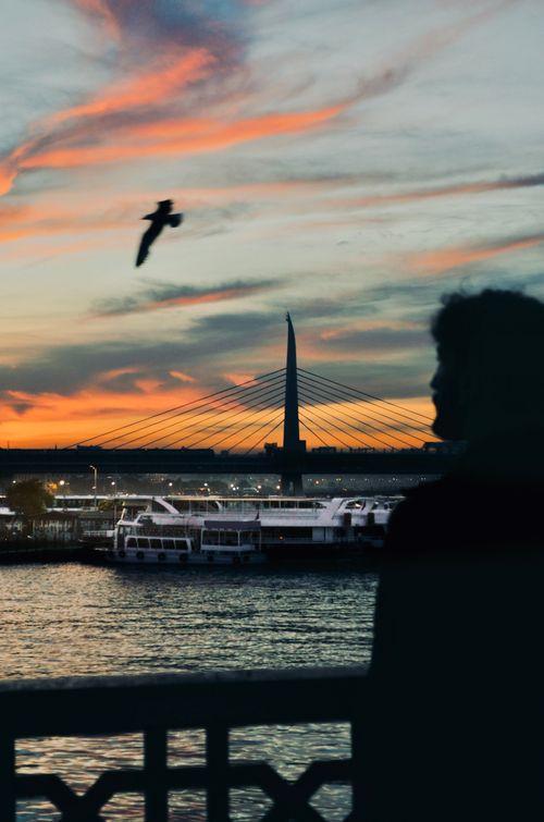 Free Back view silhouette of anonymous male admiring majestic view while standing on embankment near fence and rippling river under cloudy sky at sundown near bridge near construction Stock Photo