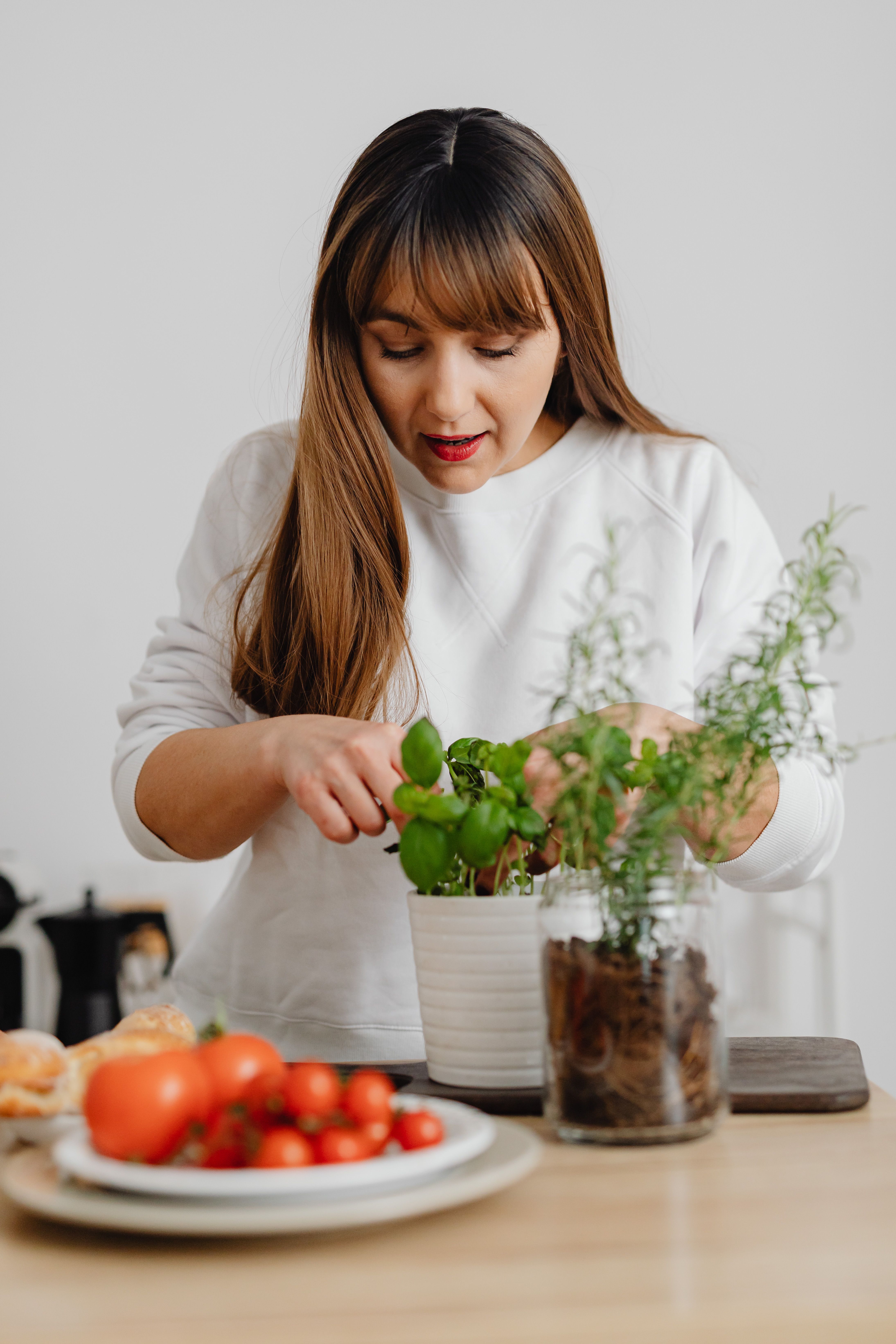 Woman in White Long Sleeve Shirt Holding a Green Plant · Free Stock Photo