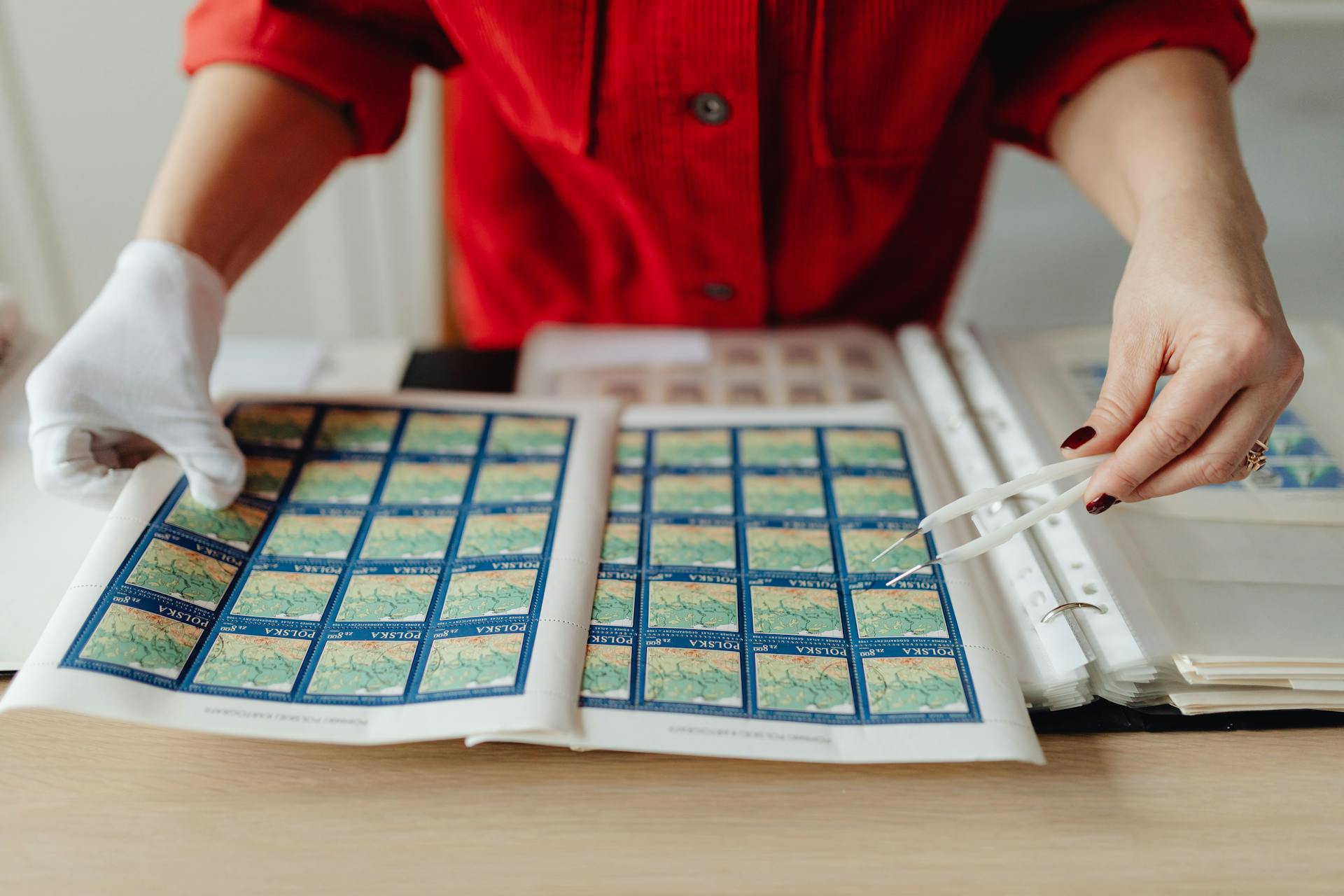 A Person Looking at Postage Stamps