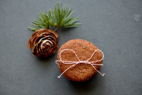 Close Up of Pine Cone and Cookie