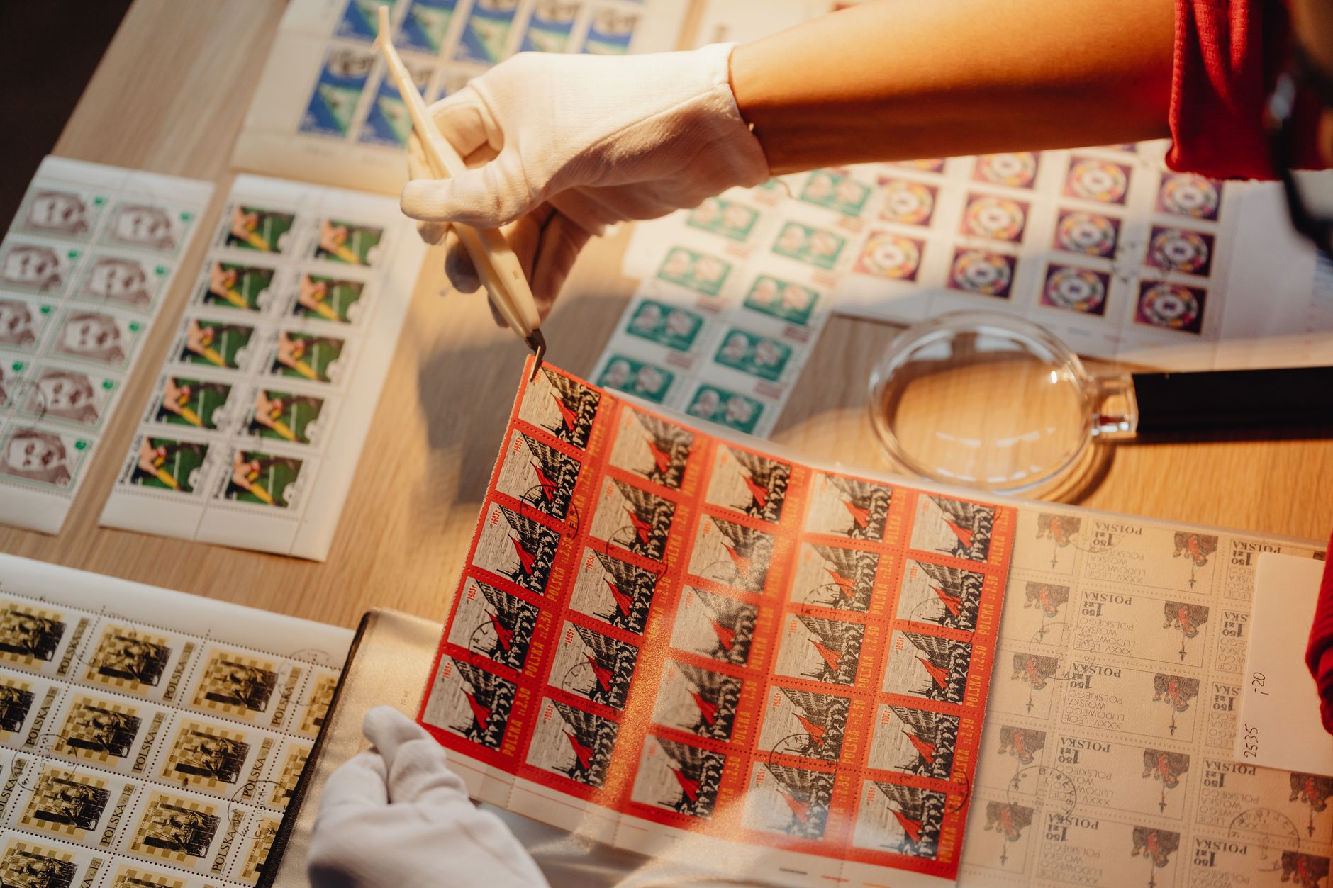 collector inspecting a Topps rookie card under a bright desk lamp, magnifying glass beside protective sleeves