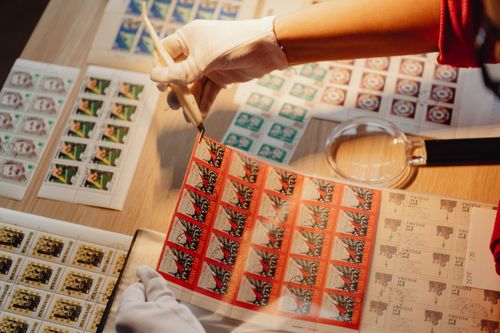 Free A close-up of gloved hands using tweezers to handle vintage postage stamps on a wooden work desk. Stock Photo