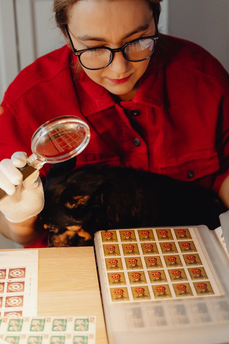 Woman With A Dog On A Lap Looking At Collection Of Postal Stamps 