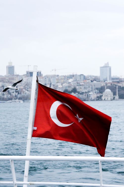 Free Turkish flag fluttering on a boat with Istanbul cityscape in the background and a seagull in flight. Stock Photo