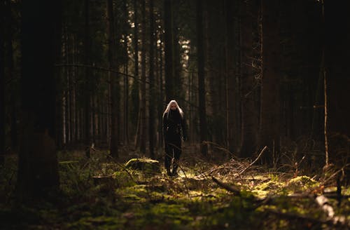 Woman Standing in the Forest