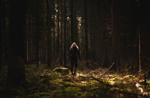 Kostnadsfri bild av äventyr, kvinna, natur