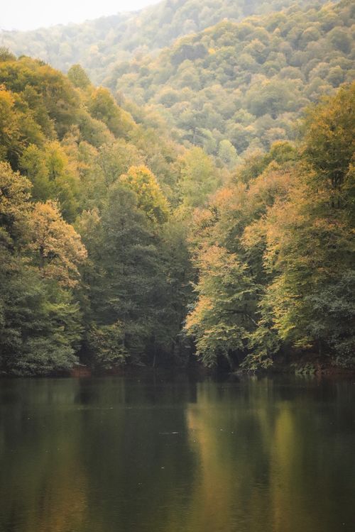 Free Peaceful lake with lush green trees in Bolu, Türkiye, reflecting serene nature. Stock Photo