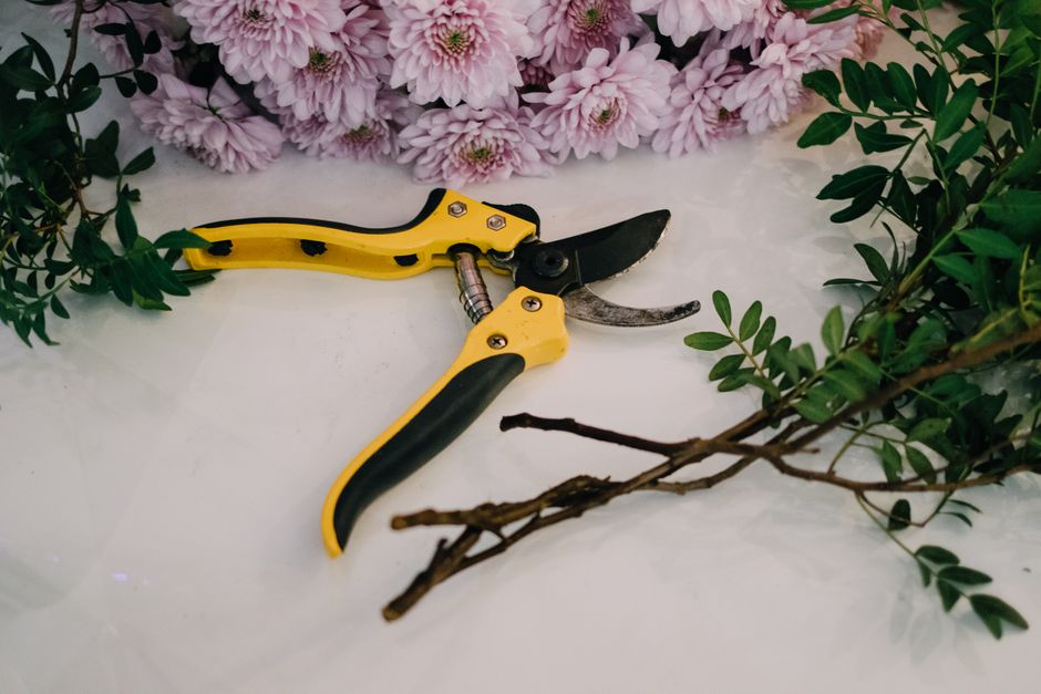 Red-handled pruning shears resting beside carnation flowers — how to sharpen pruning shears in Surrey BC