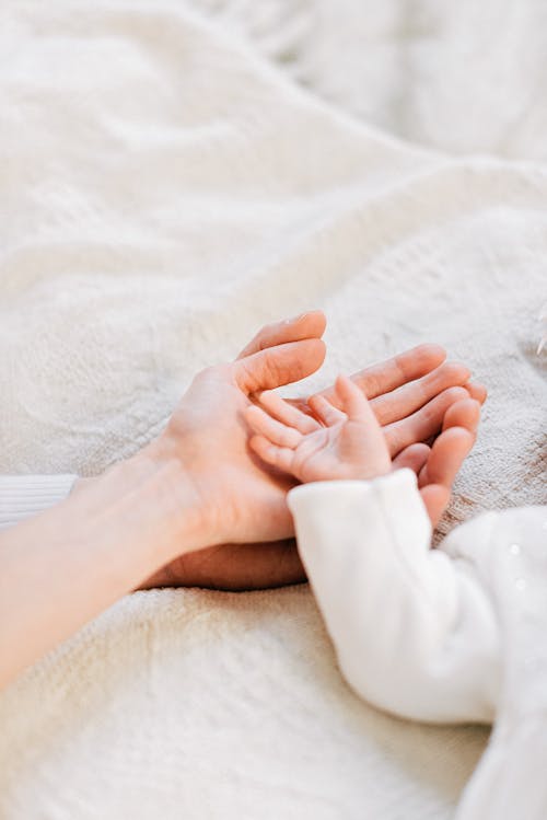 Free From above of crop unrecognizable crop unrecognizable baby lying on comfortable bed with young parents in sunny morning Stock Photo