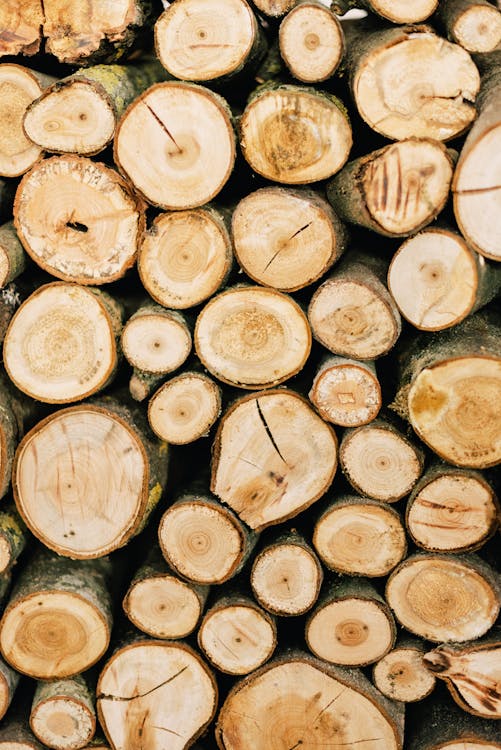 Why Is Lumber So Expensive In Canada?
