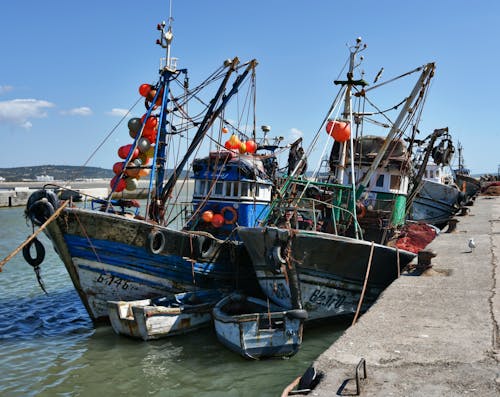 
A Fishing Boats Docked in a Harbor