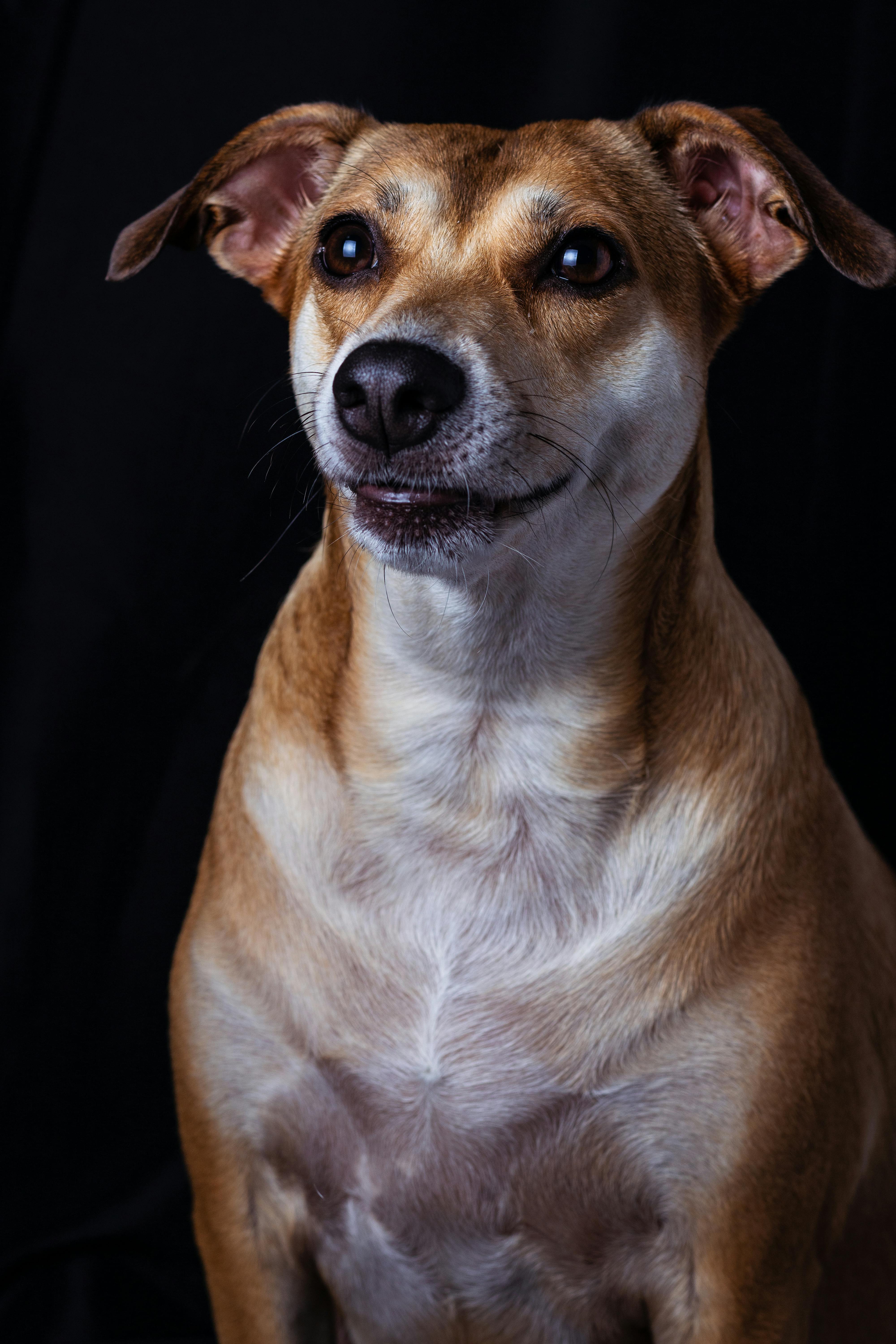 Crystals for protection and energetic shielding