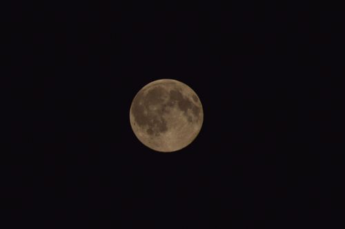 Free stock photo of evening, full moon, moon Stock Photo