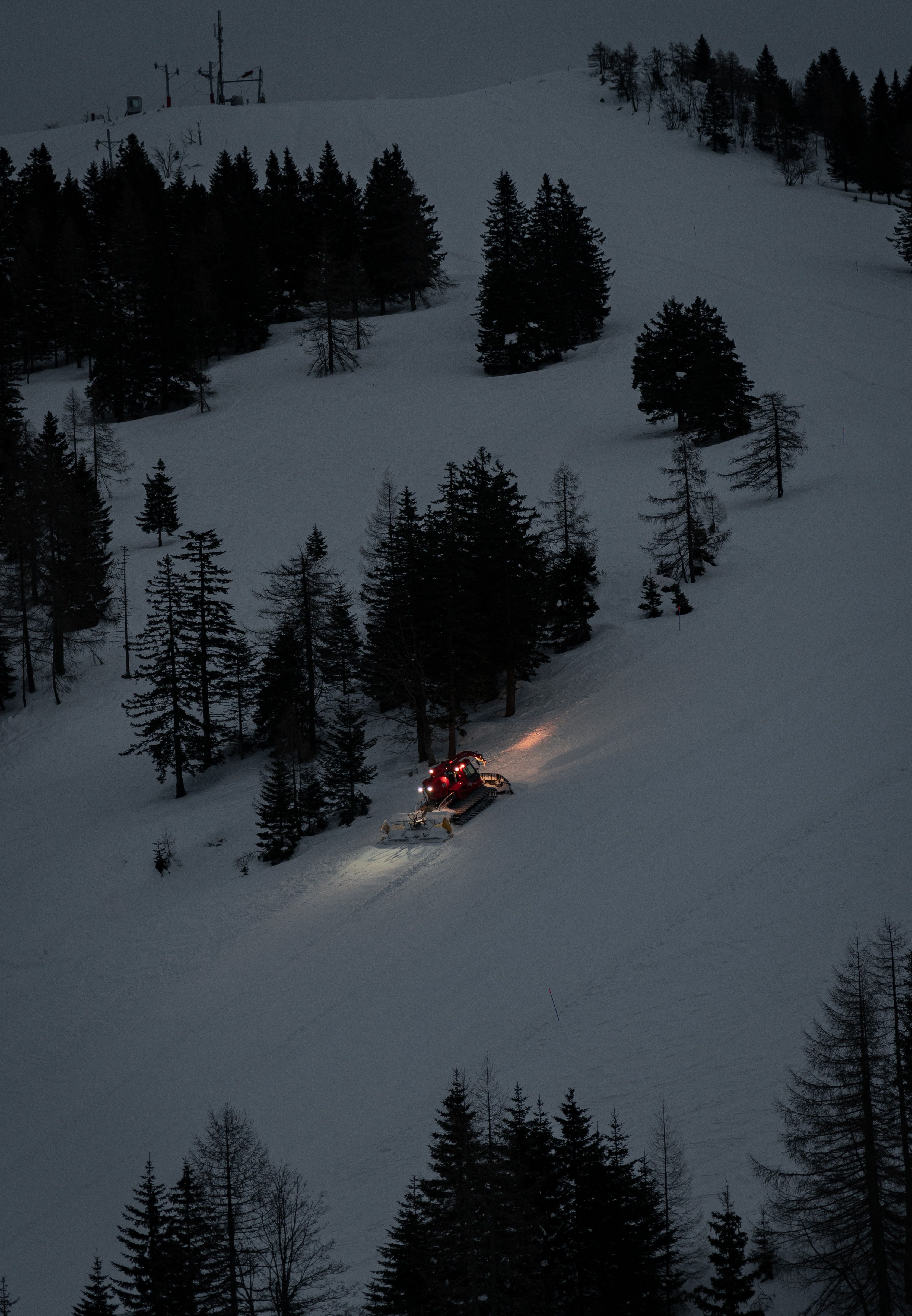 Aerial Photography of Pine Trees on Snow-Covered Ground · Free Stock Photo
